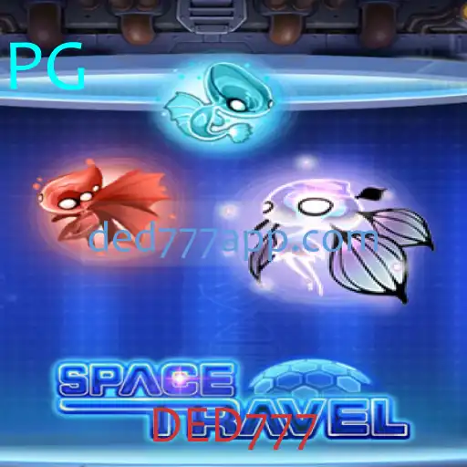 SpaceTravel – Uma Jornada Cósmica com a Palavra-Chave DED777